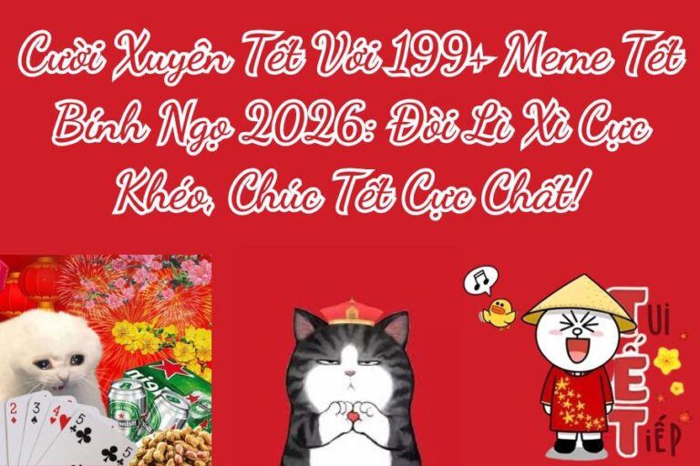 Tổng Hợp 199+ Ảnh Meme Tết Bính Ngọ 2026 Chúc Tết Lì Xì Tết Hài Hước