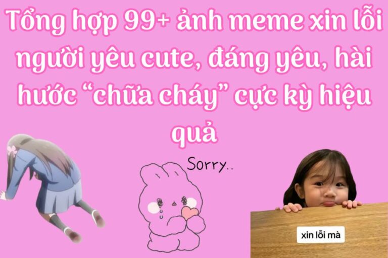 meme xin lỗi