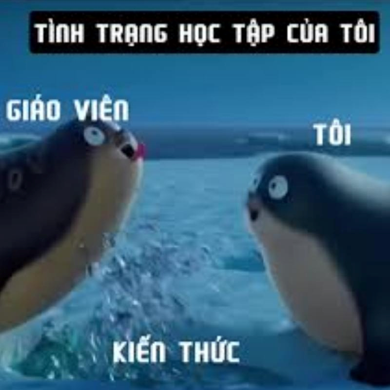 Dark Meme