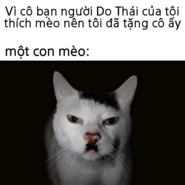 Dark Meme