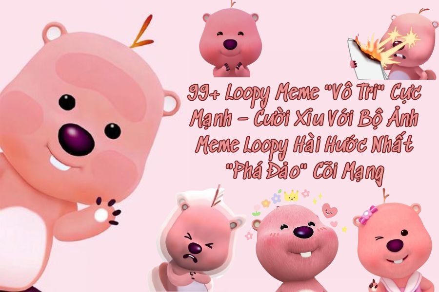 Tổng hợp 99+ Loopy Meme hài hước, đáng yêu cho dân chuyên đi cmt dạo