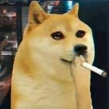 meme chó 