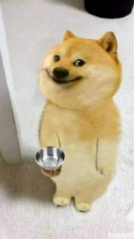 meme chó 