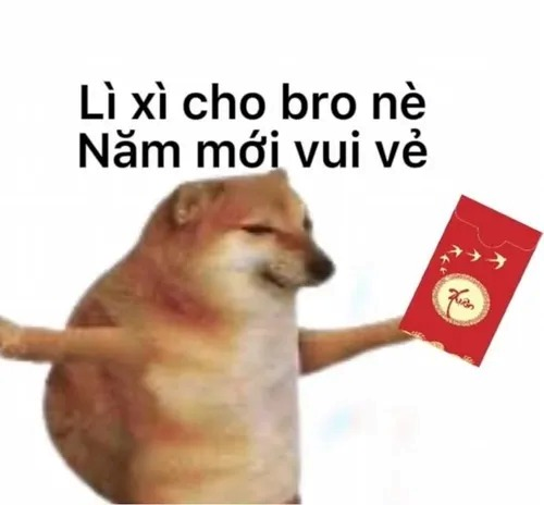 meme chó 