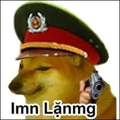 meme chó 