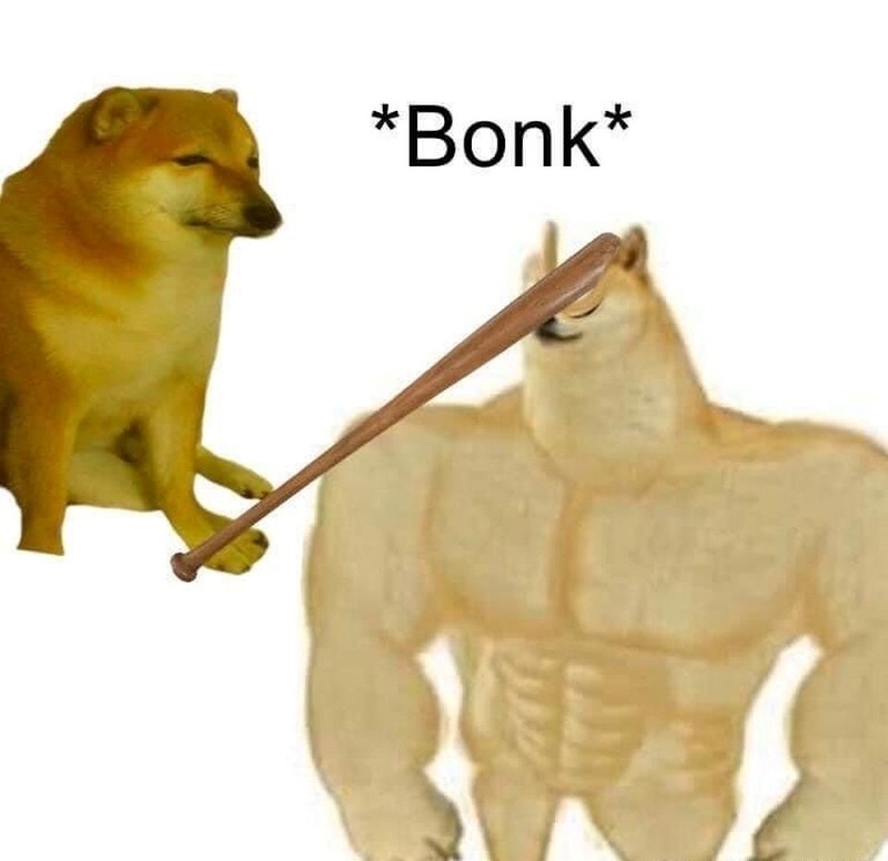 meme chó 