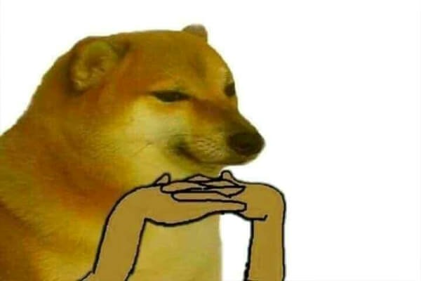 meme chó 