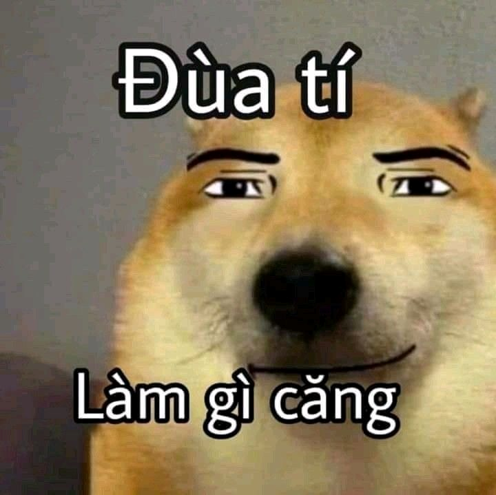 meme chó 