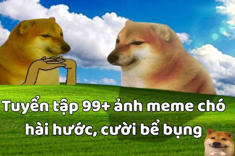 Tuyển tập 99+ ảnh meme chó hài hước, cười bể bụng