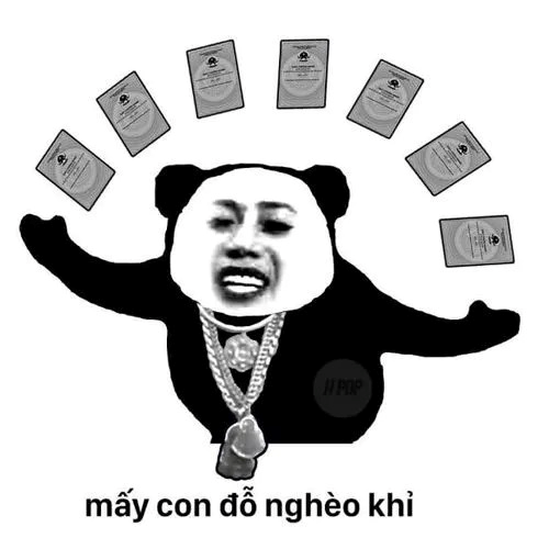 meme gấu trúc