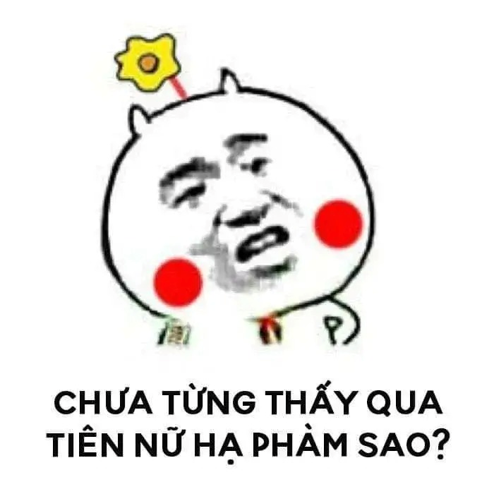 meme gấu trúc