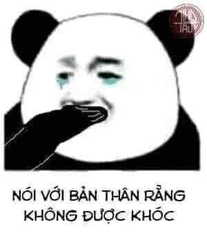 Meme gấu trúc