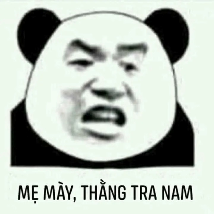 meme gấu trúc
