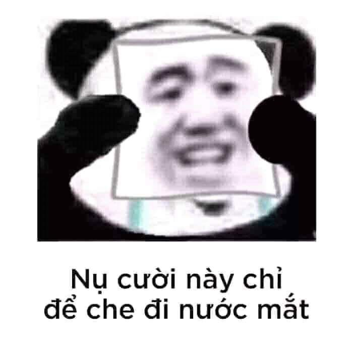 Meme gấu trúc