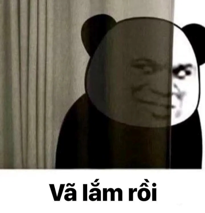 meme gấu trúc