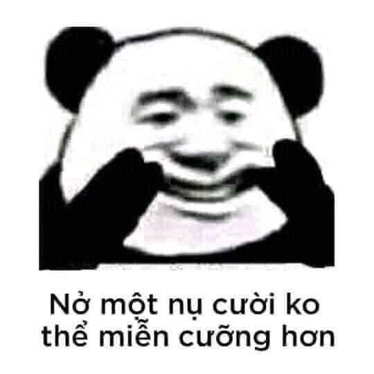 meme gấu trúc