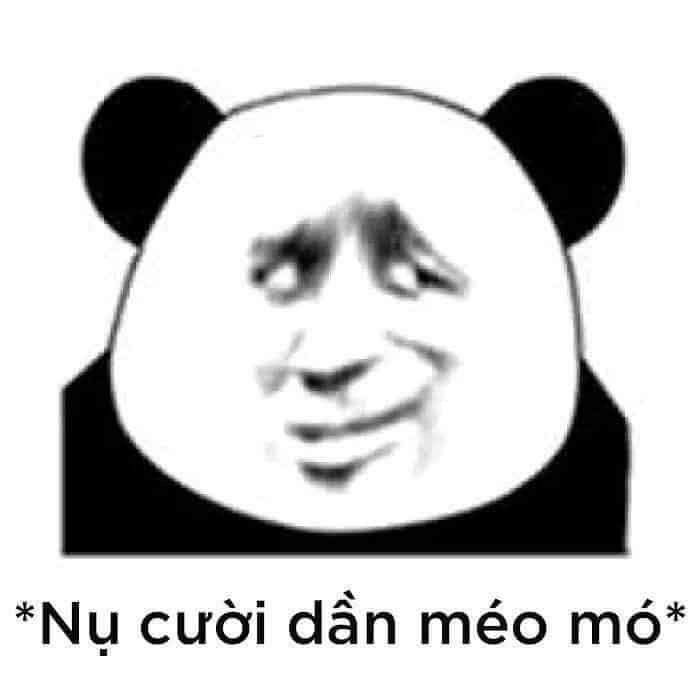 meme gấu trúc