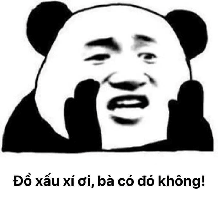 meme gấu trúc