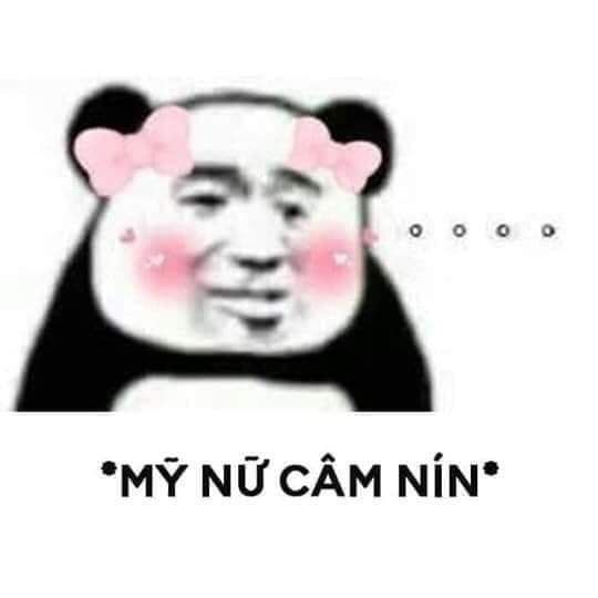 Meme gấu trúc