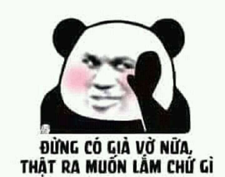 Meme gấu trúc