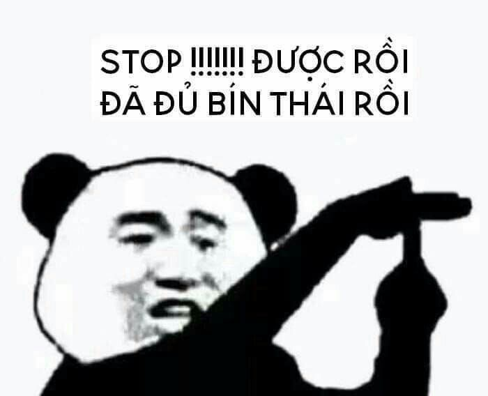 meme gấu trúc
