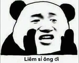 meme gấu trúc