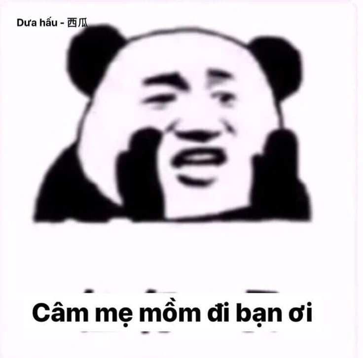 meme gấu trúc