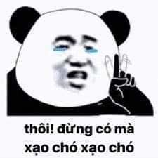 meme gấu trúc