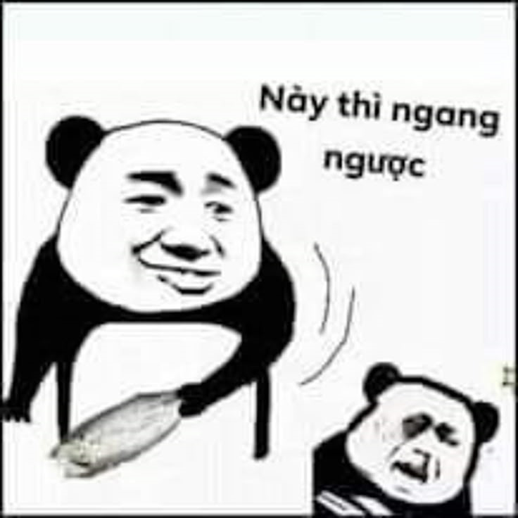 meme gấu trúc