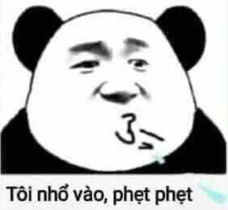 meme gấu trúc