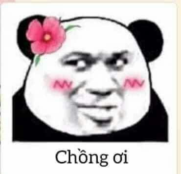 Meme gấu trúc