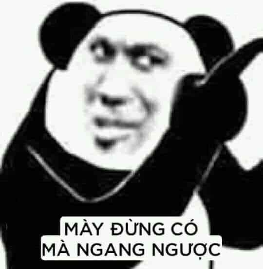 meme gấu trúc