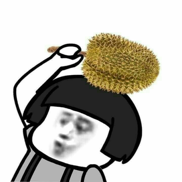 meme gấu trúc