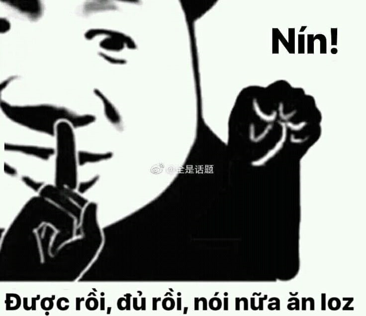 meme gấu trúc