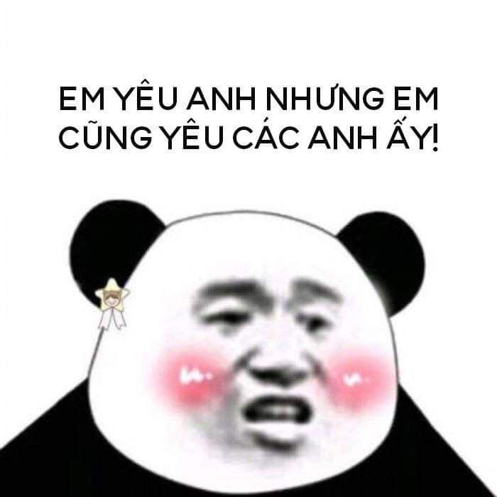 Meme gấu trúc