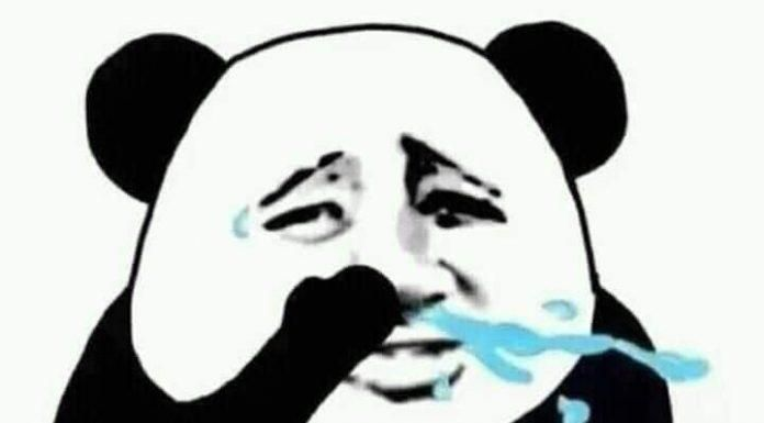 Meme gấu trúc