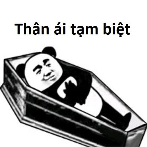 Meme gấu trúc