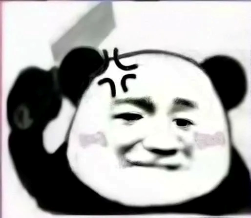 meme gấu trúc