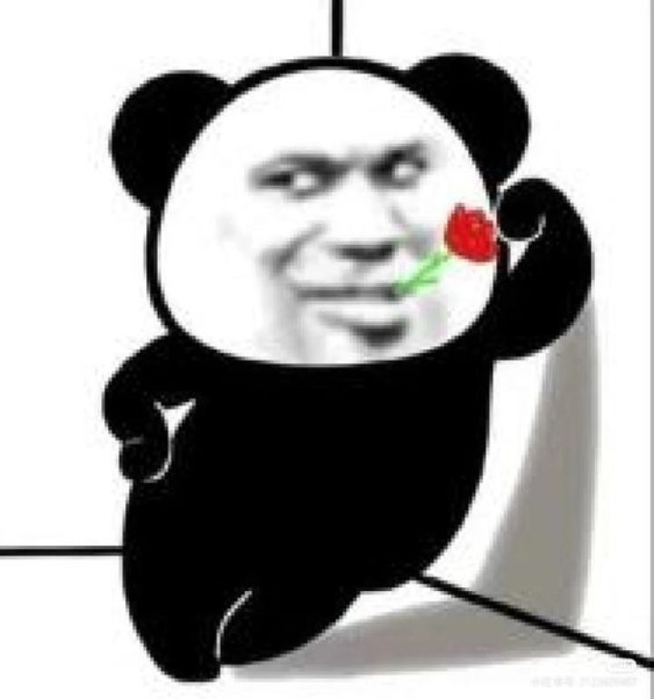 Meme gấu trúc