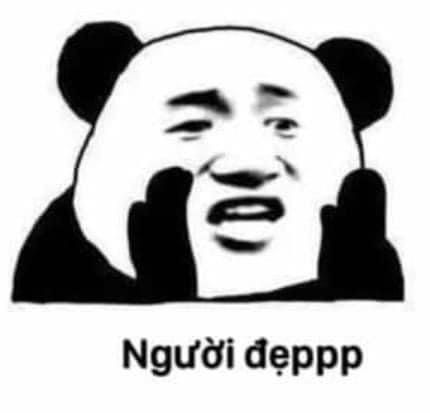 meme gấu trúc