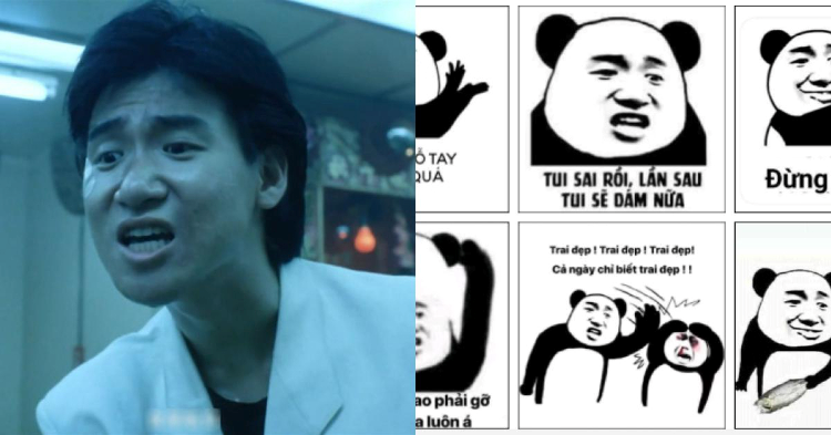 meme gấu trúc