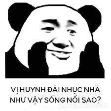 meme gấu trúc