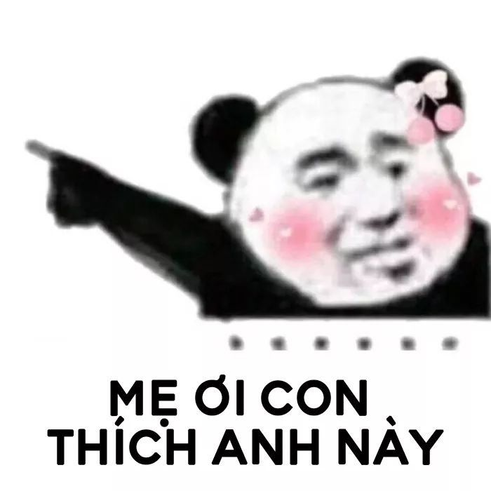 Meme gấu trúc