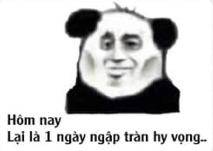 meme gấu trúc