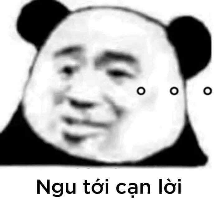 meme gấu trúc