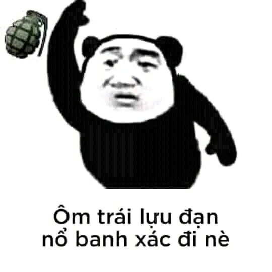 meme gấu trúc