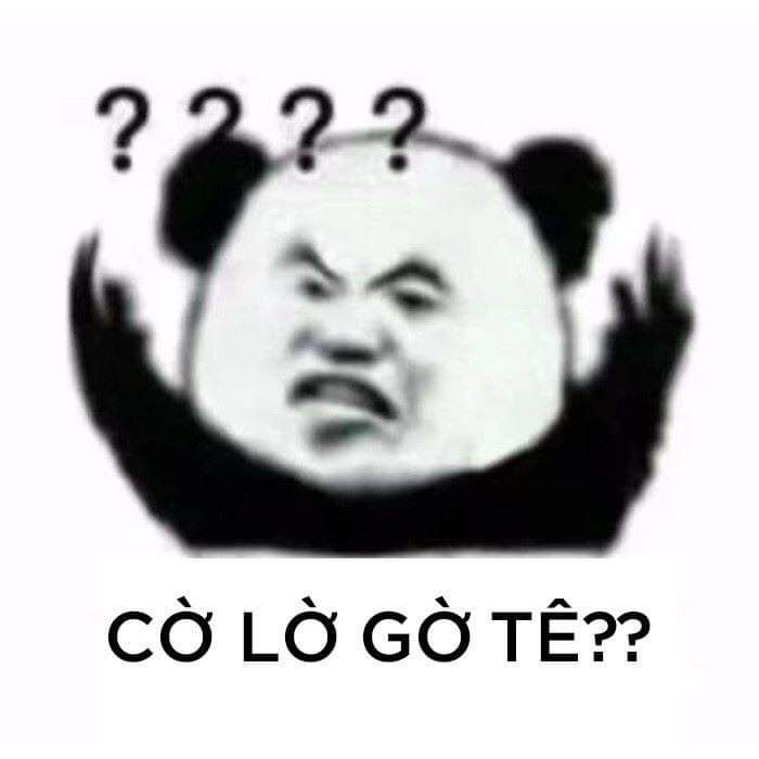 meme gấu trúc