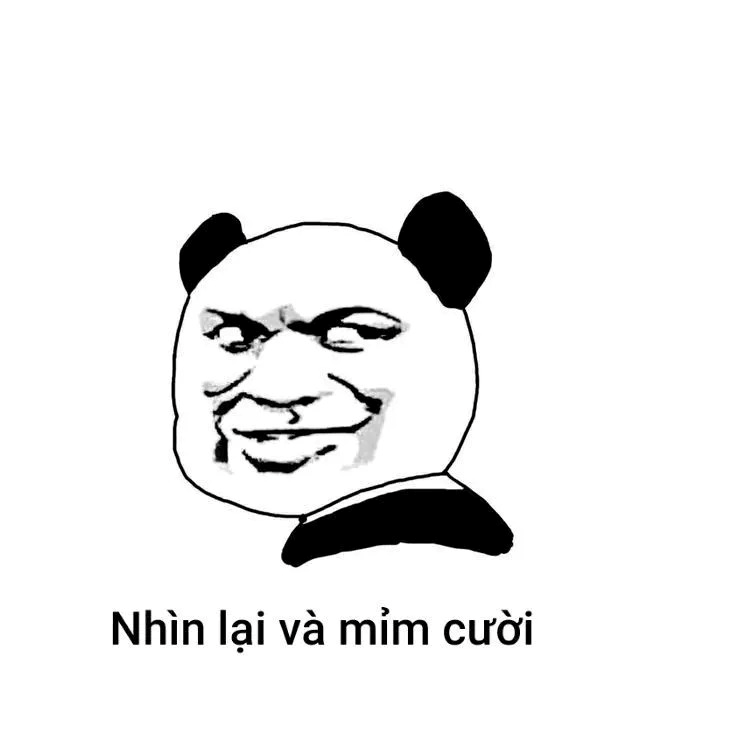 meme gấu trúc