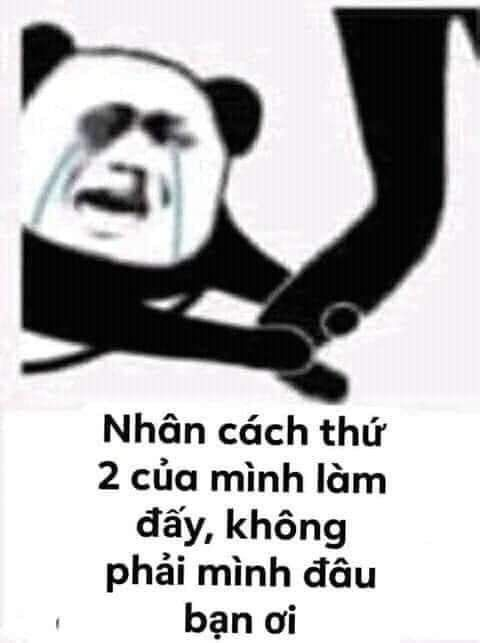 Meme gấu trúc