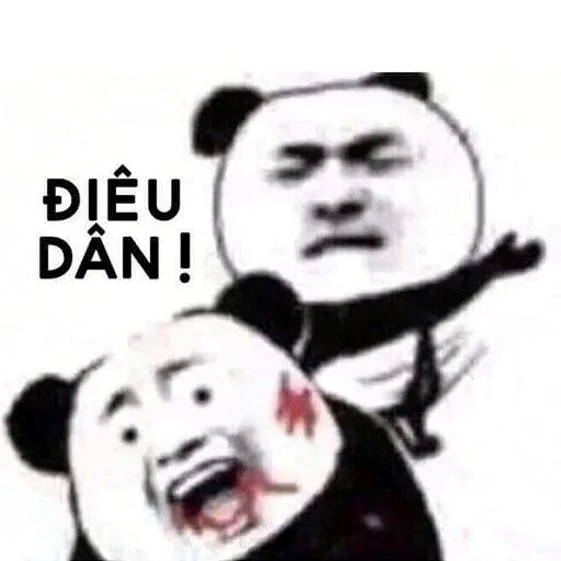 meme gấu trúc